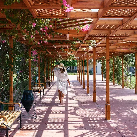 Desert Rose Resort-2
